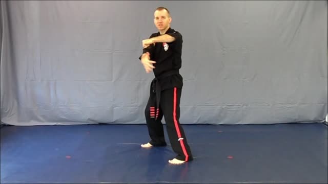 Basic Skillz Brown Belt - Purple Stripe