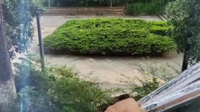 Special Effects and Techniques