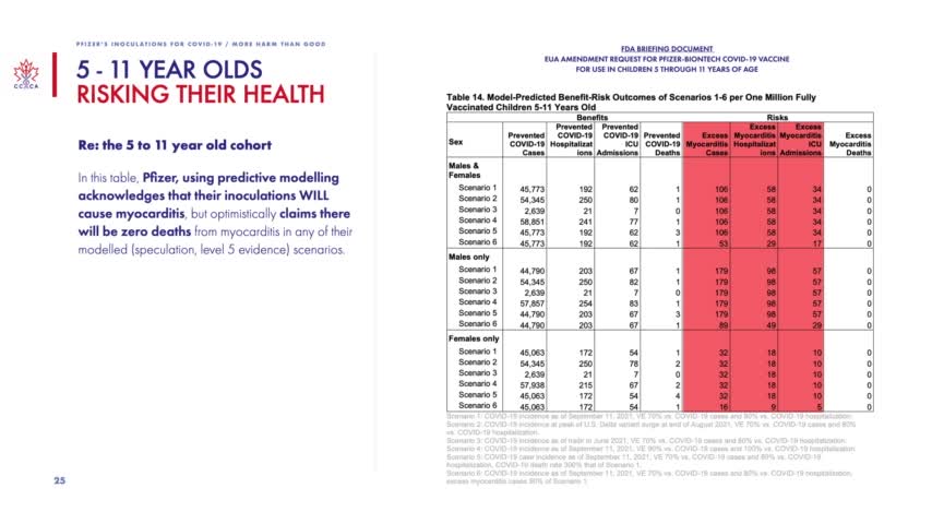 Pfizer COVID-19 Vaccine Do More Harm Than Good Only 0.84% RISK REDUCTION - DOCUMENTARY