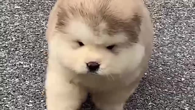 There should be gentleness