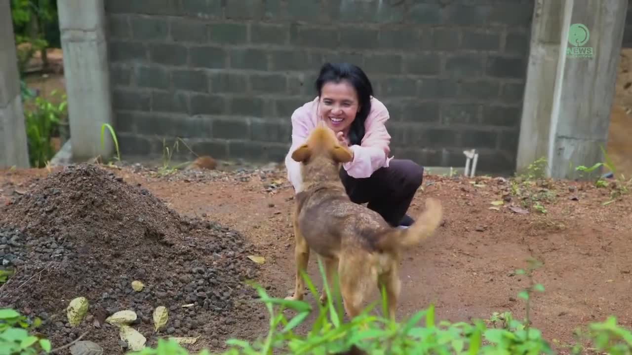 Dog Recognize People Who Rescued Her For The Last 3 Years - ElephantNews