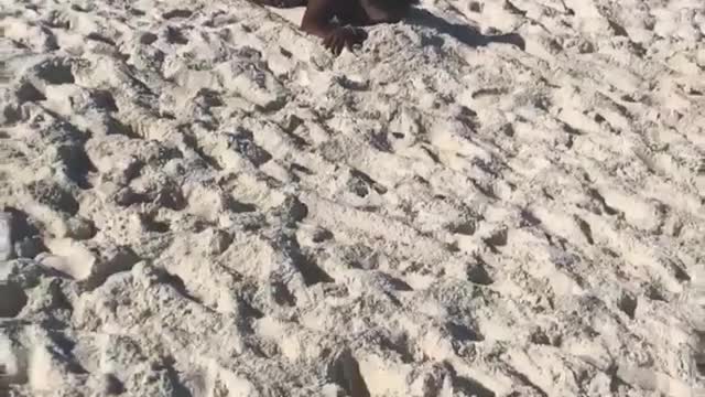 Collab copyright protection - beach race sand faceplant girl