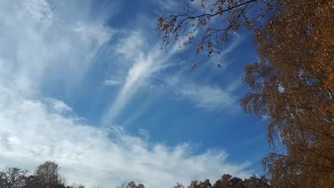 Himmel in Berlin am 13.11.2023 um 13:33 Uhr