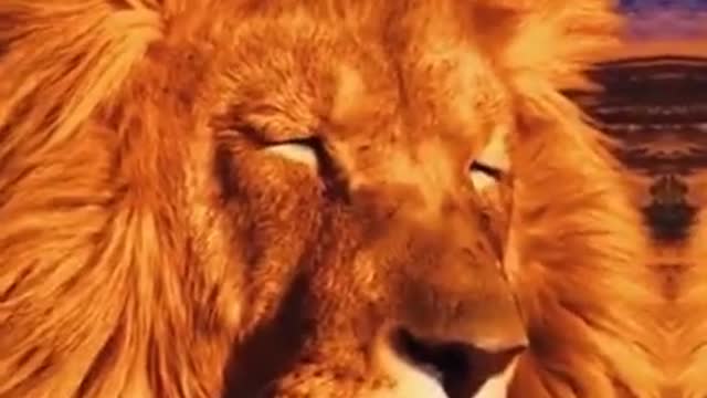 Call Me When You Want Call Me When You Need #Shorts #Tigers #Cute