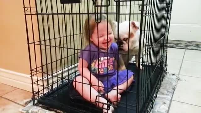 Baby dog funny video