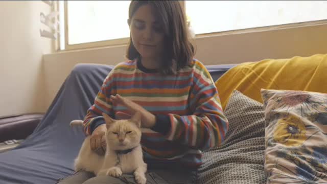 A woman sits on a couch and pets a cat