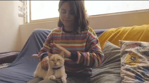 A woman sits on a couch and pets a cat