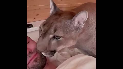 Funny video