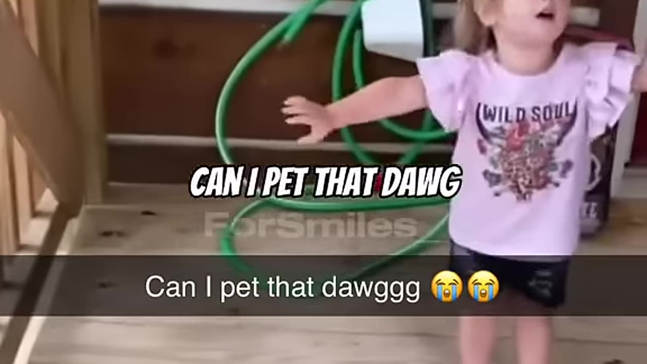 Can I Pet That Dog?