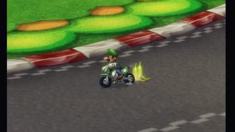 Mario Kart Wii Race205