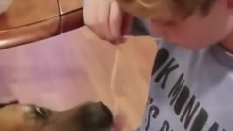 Cute Dog Shares Spaghetti!