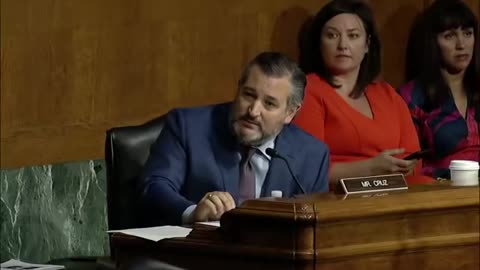 'If Critical Race Theory Is Taught In More Schools, Does Your Son-In-Law Make More Money?': Ted Cruz