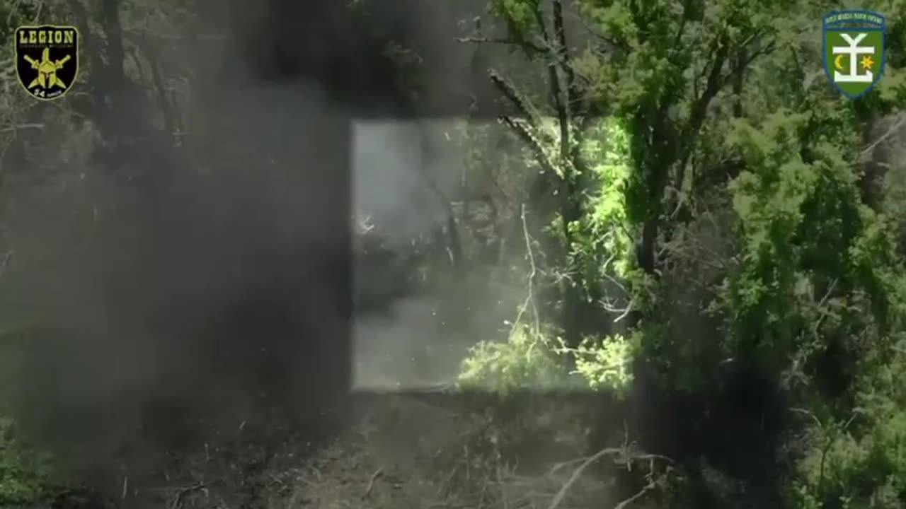 Dropping Mortars on Russians Hiding in the Treeline