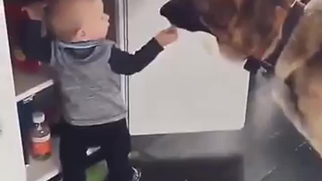 Kid love with dog