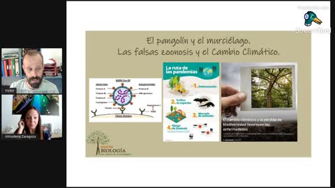 Virus quiméricos, murciélagos, pangolines y Cambio Climático.