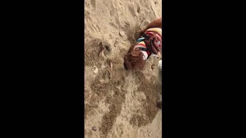 Suddenly playing in the sand