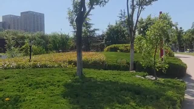 The color of the tree is green, like putting a green camouflage on the earth