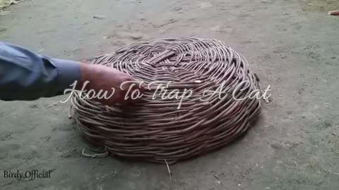 Cat Trapping - How To Catch A Feral Cat Using Simple Box Trap