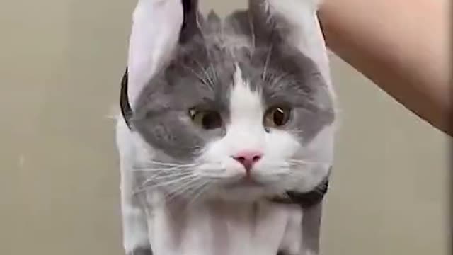 That face
