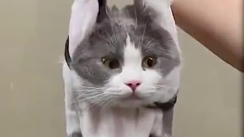 That face