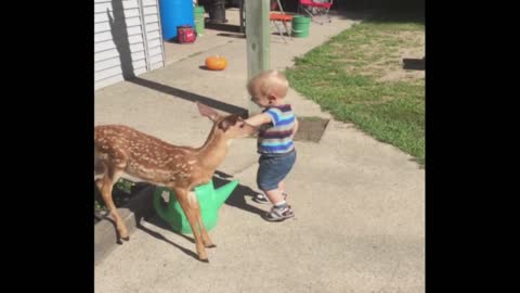 Baby Plays with Baby Deer Unexpected!!