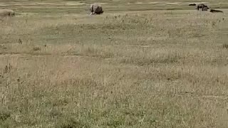 Lake Nakuru National Park