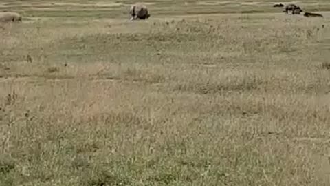 Lake Nakuru National Park