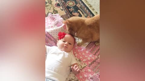 funny baby with cat