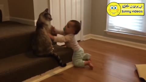 Laugh until tears at the most beautifully clips of children with animals_2022