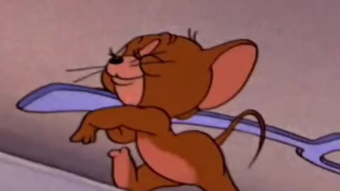 Funny jerry attack tom funny video