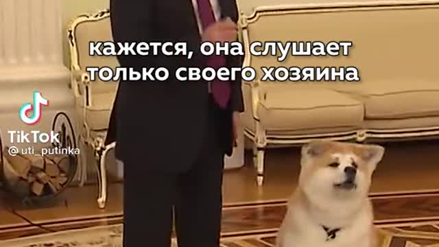 Un homme politique et son chien