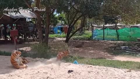 Big Fake Tiger Prank Must Watch Funny Video