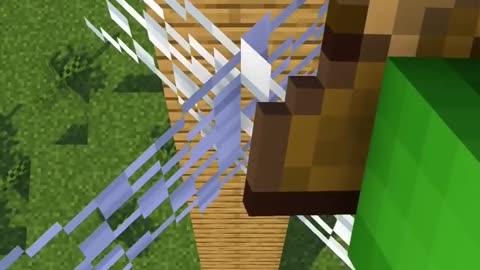 Girls MLG vs Boy MLG - Minicraft Maizen Animation