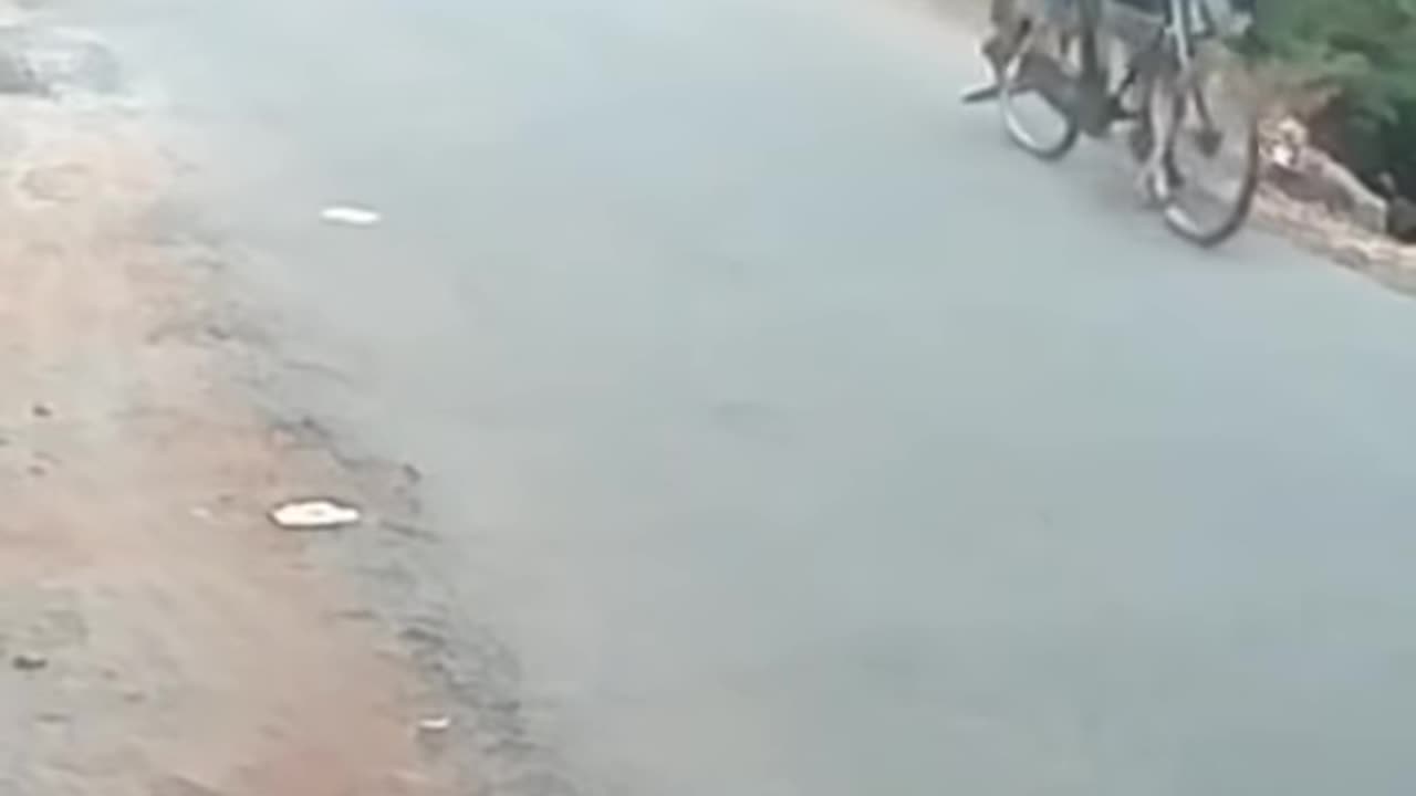 Funny video 🤣