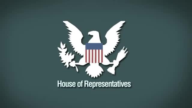 How does USA elections work??