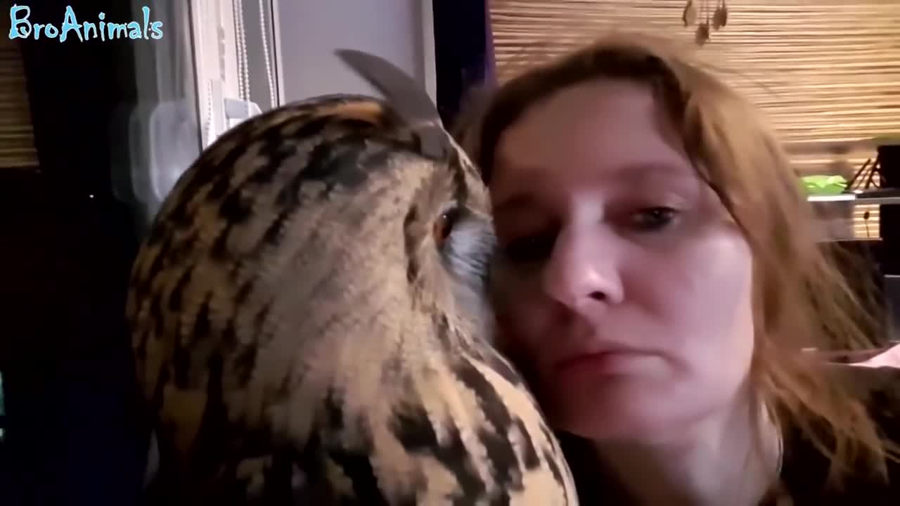 FUN WITH ANIMALS