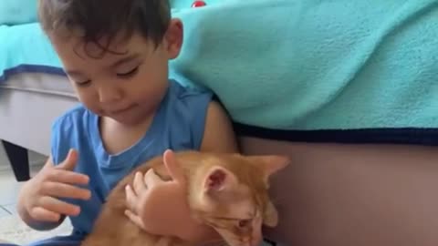 little boy caresses the kitten