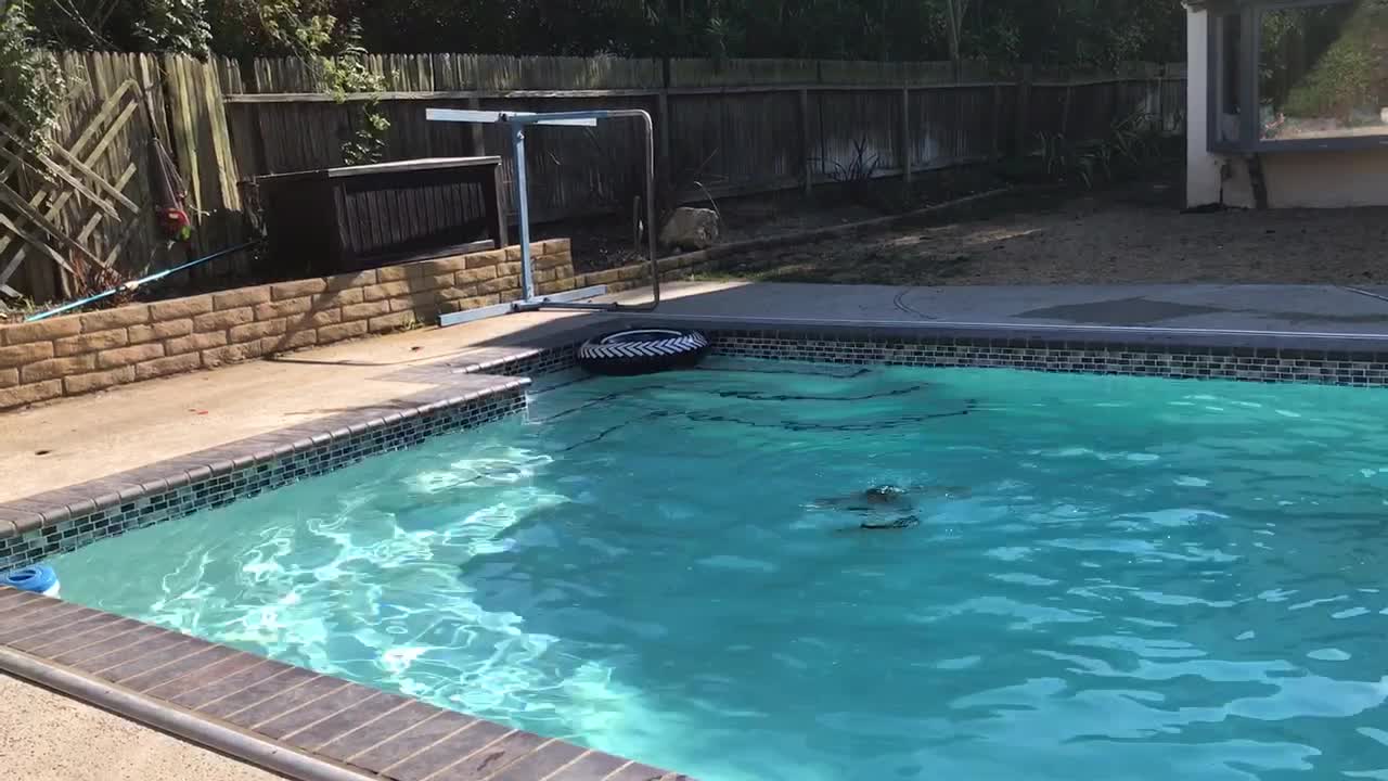 Kid has clever strategy for extra pool time