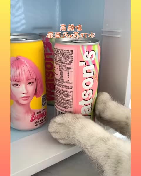 Funniest cat funny comedy scenes 🤣🤣