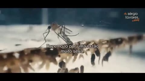 Pandemia de mosquitos de Bill Gates