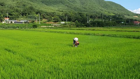 Peaceful and beautiful countryside and farmers