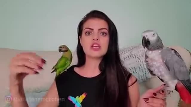 WAYS TO TEACH YOUR PARROT TO TALK! | PARROT TALK