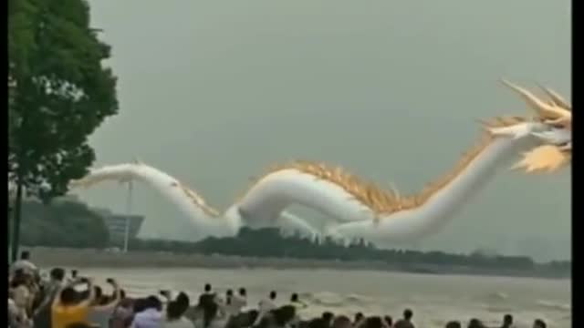 Tik Tok chinese dragon