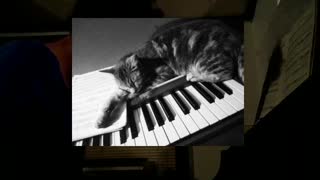 Piano and handpan music