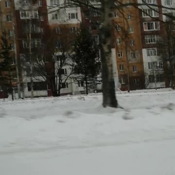 We are driving in a snowstorm in the city.