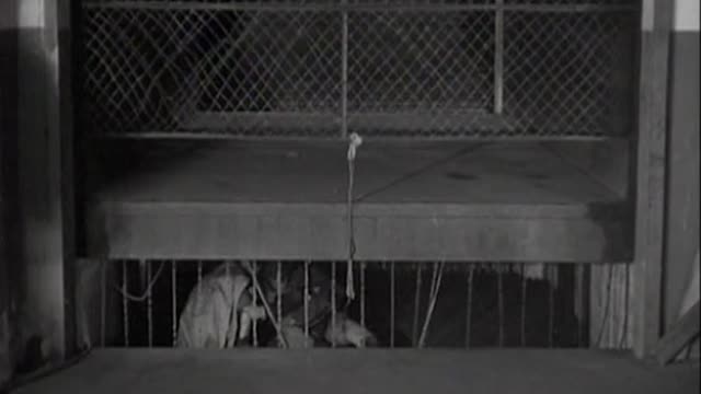 Batman, The 1943 Serial - 08 - Lured by Radium