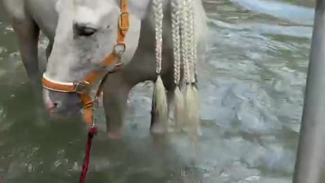 Play in the water