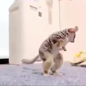 If you lost a screw bolt