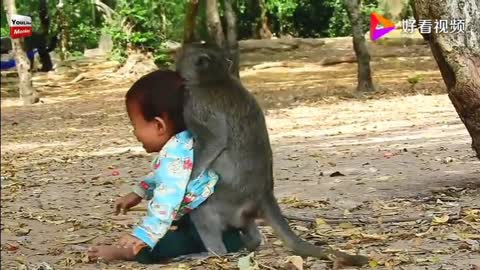 The monkey is acting so cute!