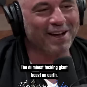 Joe Rogan- Funniest Skit Yet